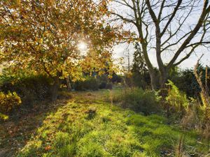 Garden- click for photo gallery